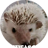 Eric P. profile image.